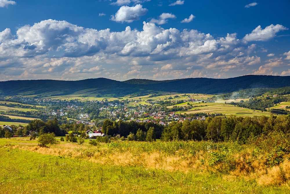 Zdjęcie przedstawia krajobraz z Małopolski, Gmina Iwkowa, w tle góry, na pierwszym planie łąki